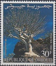 Djibouti tree 1990 for sale  Shipping to Ireland