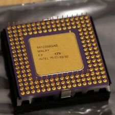 Intel i486dx2 66mhz d'occasion  Expédié en Belgium