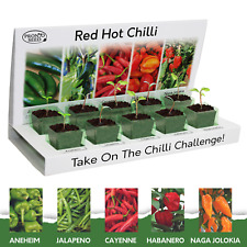 Chilli seeds chilli for sale  BARRY