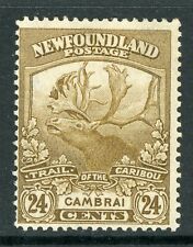 Canada 11919 newfoundland for sale  Shipping to Ireland