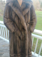 Russian sable full for sale  Gladstone