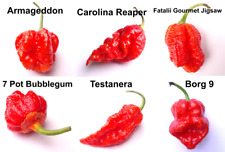 VENDA - Ultimate Heat Chilli Seeds - 60 Sementes - inc Carolina Reaper & Armageddon, usado comprar usado  Enviando para Brazil