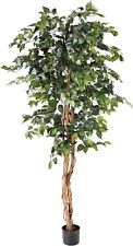 silk leaf ficus tree for sale  Denton