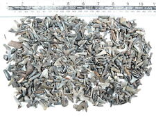 100 fossil shark for sale  Shipping to Ireland