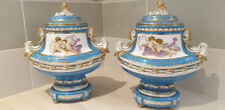 Paire vases porcelaine d'occasion  France