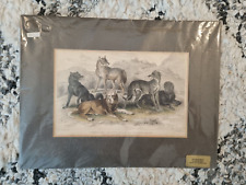 Antique print 100 for sale  VIRGINIA WATER