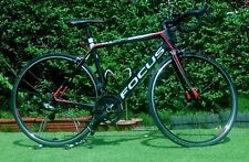 Focus cayo carbon for sale  Shipping to Ireland