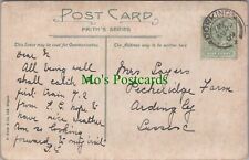 Genealogy postcard sayers for sale  WATERLOOVILLE