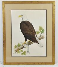 American bald eagle for sale  Canton