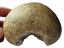 Prehistoric british neolithic usato  Spedire a Italy
