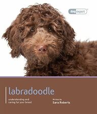 Labradoodle dog expert for sale  USA