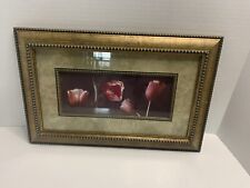 Judy mandolf tulip for sale  New Orleans