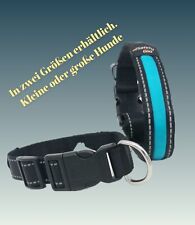 Hundehalsband nylon halsband gebraucht kaufen  Rodewald