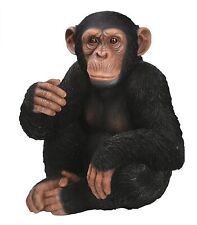 Chimp chimpanzee sitting for sale  DRIFFIELD