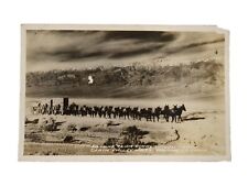 Rppc mule team for sale  Oviedo