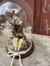 Taxidermy butterfly dome for sale  STANFORD-LE-HOPE