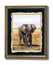 African elephant outdoor for sale  Springdale