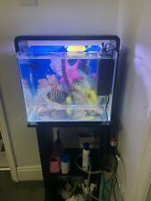 Aquarium whole set for sale  LONDON