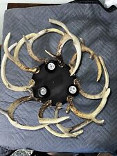 chandelier authentic antler for sale  South River