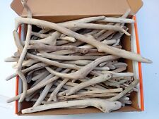 Scottish driftwood pieces for sale  BANFF