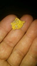 Gold nugget rich for sale  Townsend