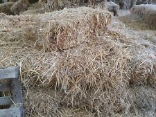 Straw bales large for sale  SAFFRON WALDEN