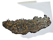 Pallasit meteorit scheibe gebraucht kaufen  Hamburg