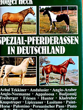 Pferde spezialrassen achal gebraucht kaufen  Deutschland