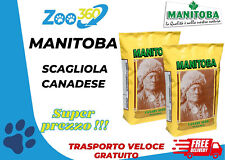 Manitoba scagliola canadese usato  Reggio Emilia