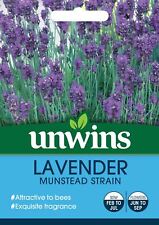 Unwins flower lavender for sale  WREXHAM