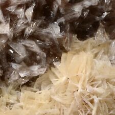 Used, Colemanite with Calcite  Boron Open Pit, Boron, Kern Co., California 0801-b744 for sale  Shipping to South Africa