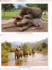 Postkarten thailand elefant gebraucht kaufen  Berlin