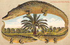 1912 alligator border for sale  Fair Haven
