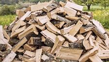 brennholz buche ofenfertig gebraucht kaufen  Bad Tölz
