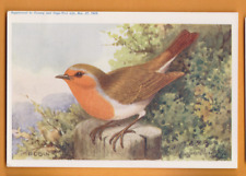 Pássaros- Canário e gaiola Bird Life, 1908- Robin.       Cartão postal, usado comprar usado  Enviando para Brazil