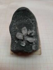 Septarie herkimer der gebraucht kaufen  Schwabach