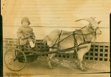 C1915 child riding for sale  Wooster