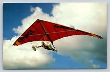 Delta wing kite for sale  Macon