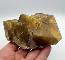 Golden cave rock for sale  Austin