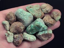 198ct turquoise rough for sale  Walnut
