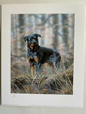 Dog art print for sale  HELENSBURGH