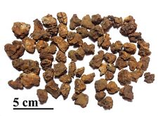Meteorite sericho pallasite for sale  Colorado Springs