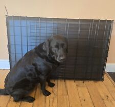 extra large dog crates for sale  DURHAM