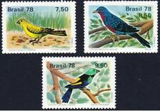 Brasile 1978 birds usato  Trambileno