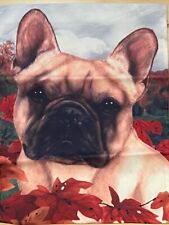 French bulldog dog for sale  Pasadena