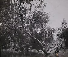 Headwaters of Ulian River, Ilhas Filipinas, Farrar Magic Lantern Glass Slide comprar usado  Enviando para Brazil