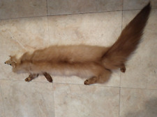 Stone marten tanned for sale  Livonia