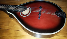 Johnson 110 mandolin for sale  Deforest