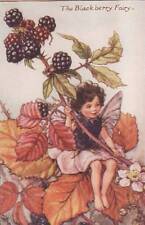 Flower fairies blackberry for sale  MOLD