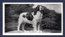 Springer spaniel roundwood for sale  Shipping to Ireland